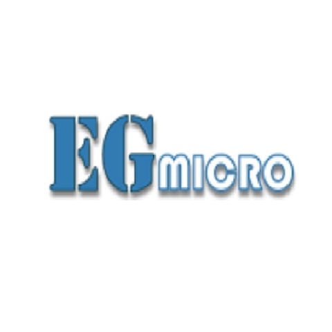 EG Micro logo